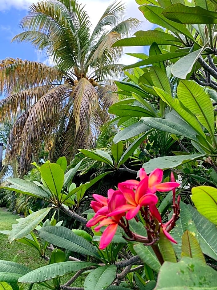 Domaine Saint-François