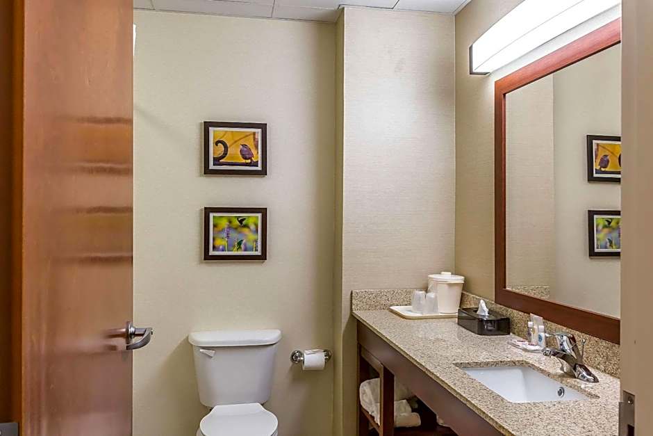 Comfort Inn Frederick - Ballenger Creek