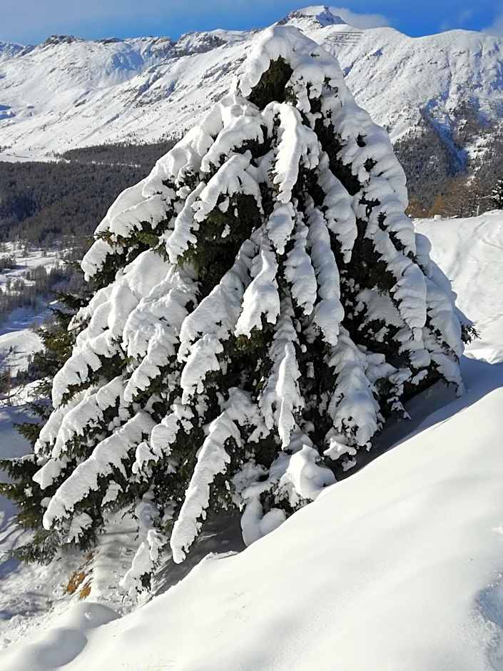 Rifugio Vieux Crest
