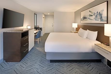 1 King Bed, Guest Room, 1 King