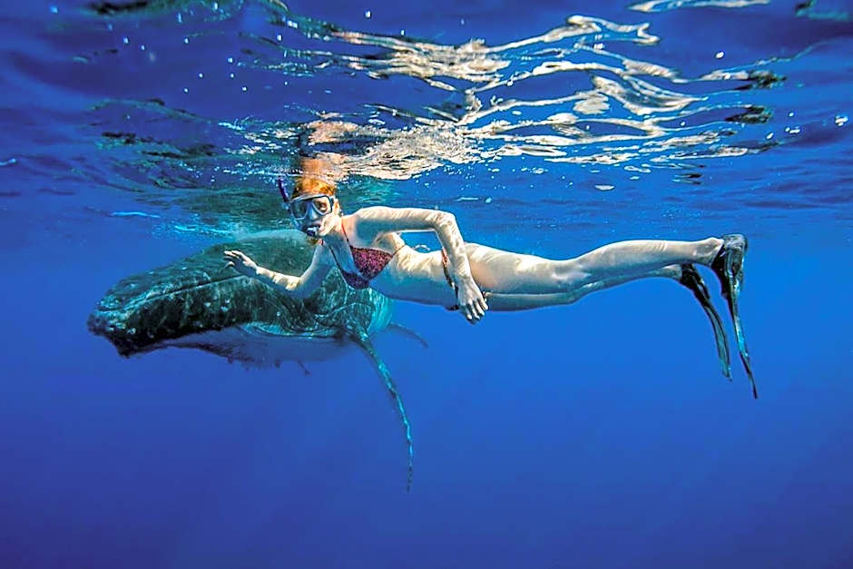 Ningaloo Lodge Exmouth