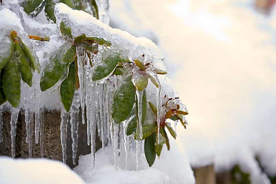 Tannmühle Hotel und Restaurant GmbH