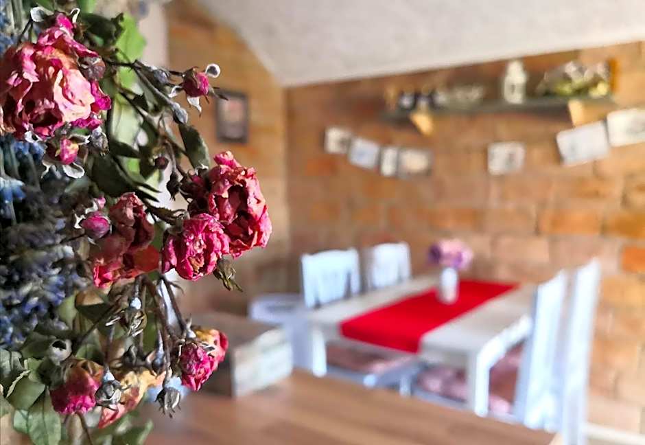 Kakukkfu Barlang-Vendeghaz