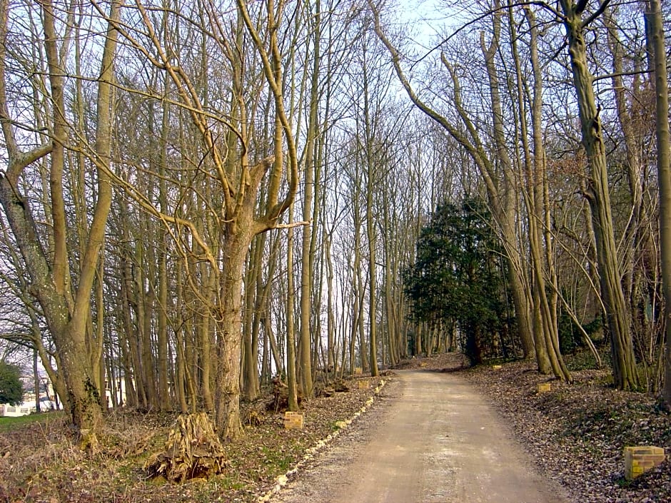 Château du Jard