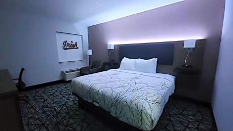 1 King Bed Non-Smoking