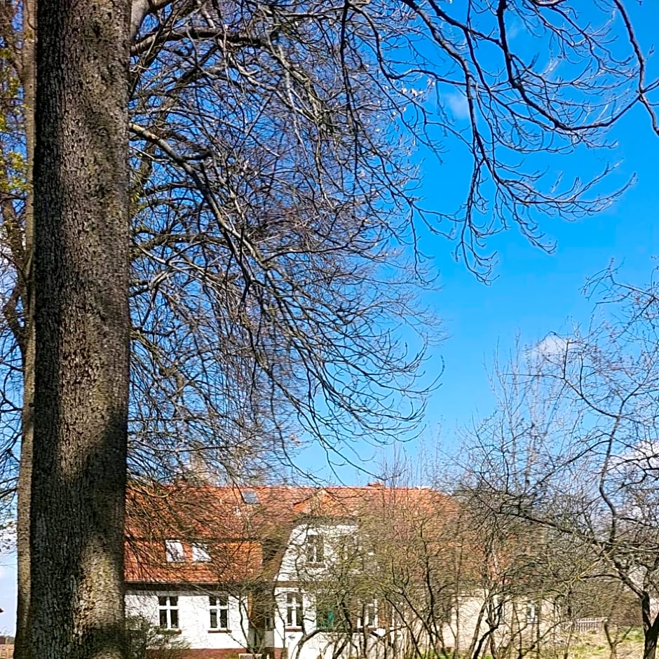 Dom na Mazurach Pilec