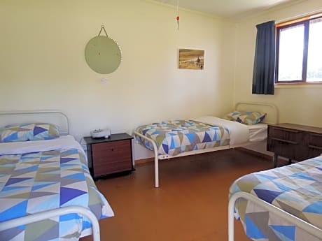Bed in 3-Bed Mixed Dormitory Room