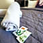Base Backpackers Queenstown