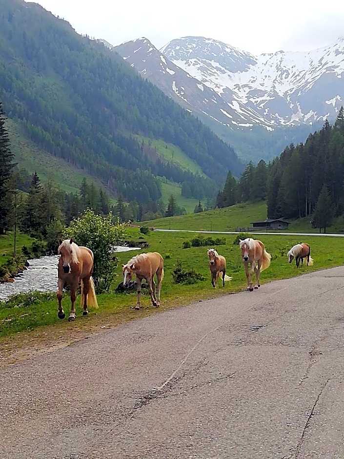 Alpengasthof Gutenbrunn