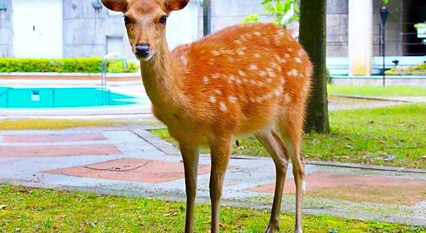 Reyzenit-Kinosaki Suite Villa