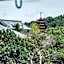 Miyajima Shiro