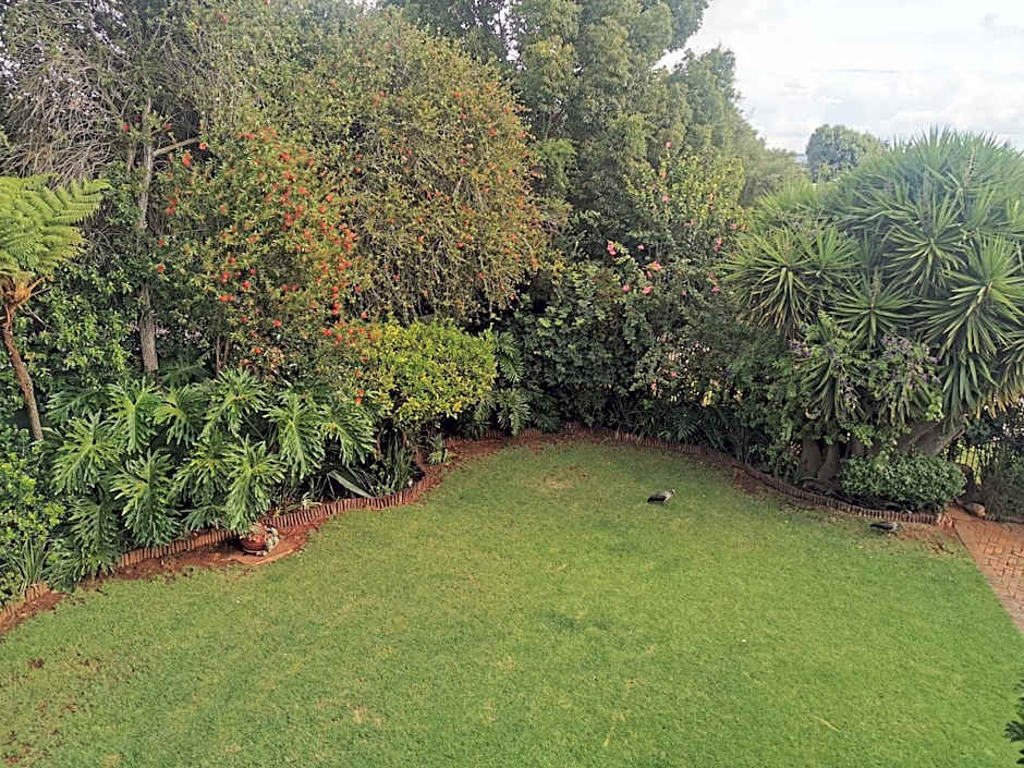 Villa Stella Guest House