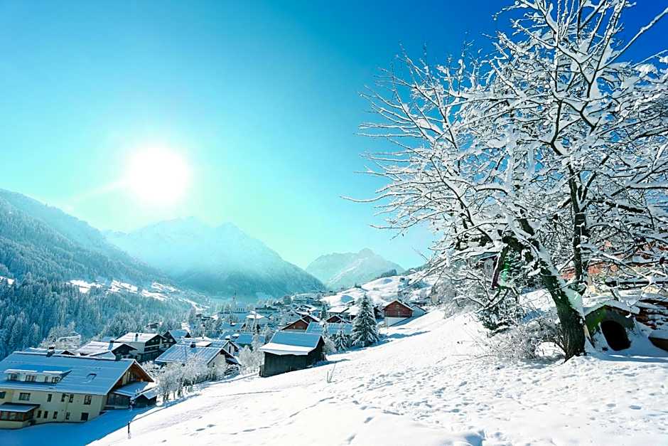 Ski- und Aktivhotel Almhof Rupp