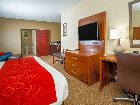 1 King Bed  Suite  No Smoking  Accessible Room