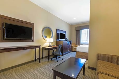 King Suite with Sofa Bed - Pet Friendly/Non-Smoking