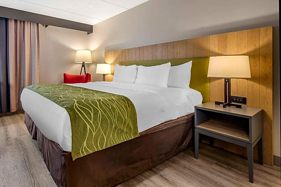 Photo 1 of 7 of Executive 1 King Bed