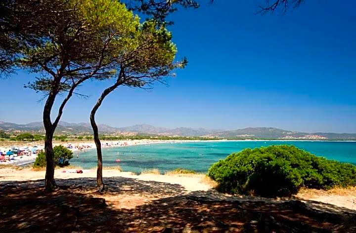 Appartamenti Tanaunella