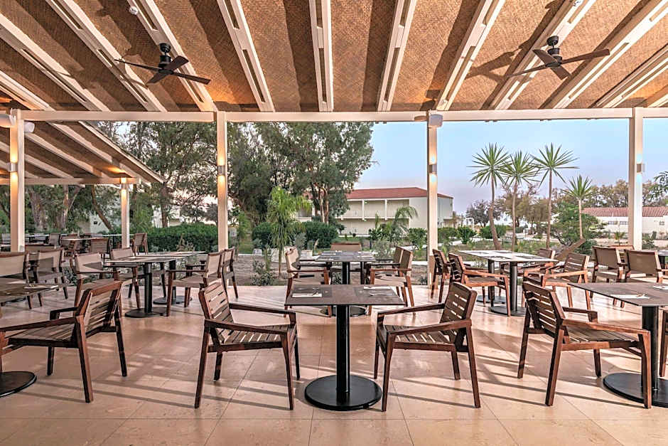 Domes Aulus Zante, Autograph Collection