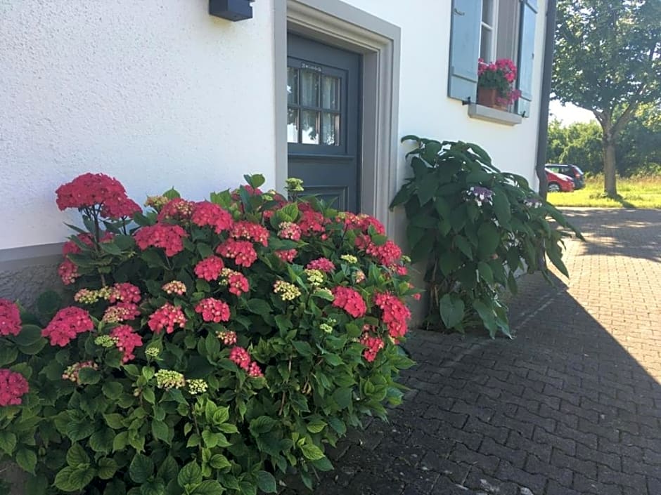 Bed & Breakfast mit Charme- Aux2platanes- Außergewöhnlich schön am Bodensee