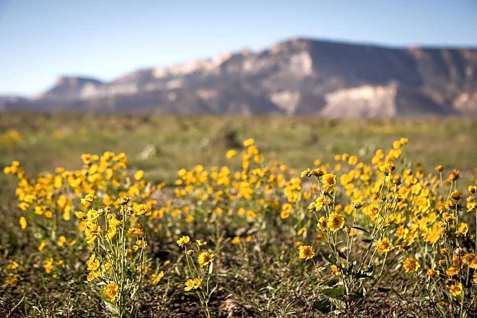 Kayenta Monument Valley Inn