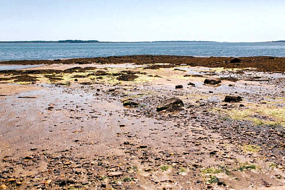 Chebeague Island Inn