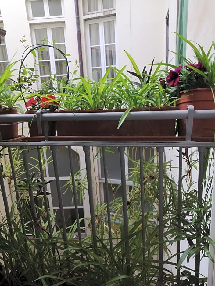 Florence Pitti Loft