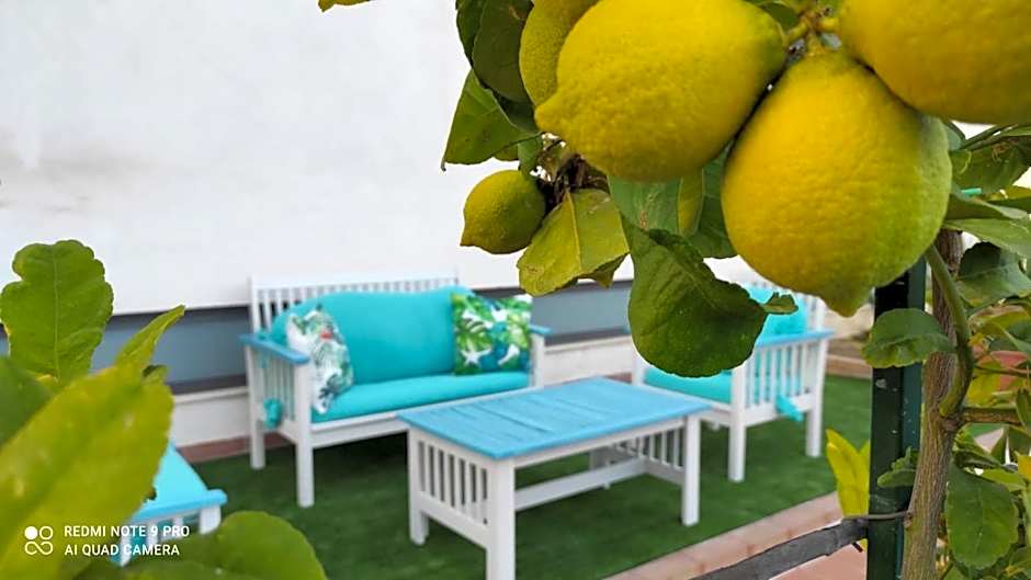 Medimare Residence Club