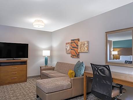 1 King Studio Suite Communications Accessible