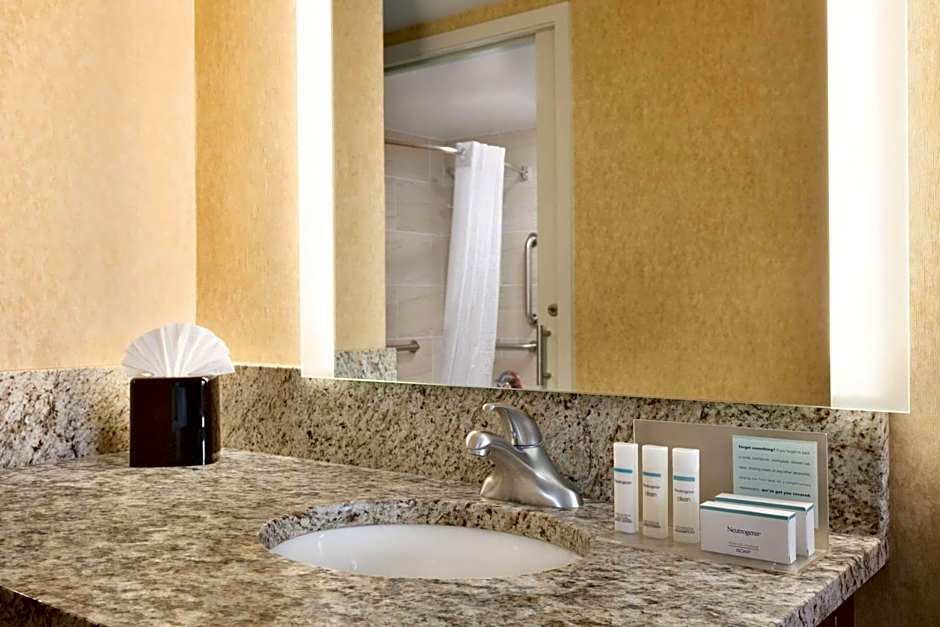 Hampton Inn By Hilton Washington-Dulles International Airport South