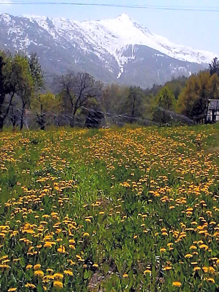 Bed and Breakfast Ca D'Pandin