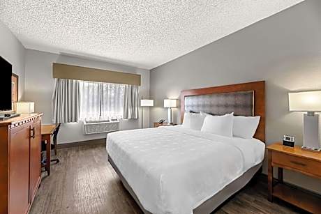 King Room - Non-Smoking