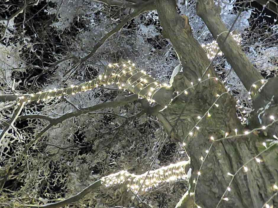 Hotel Villa Boyana - Free Parking