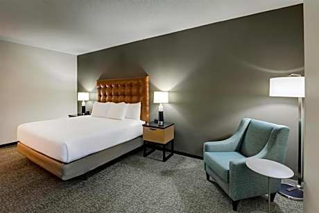 Deluxe King Room - Accessible, Tub