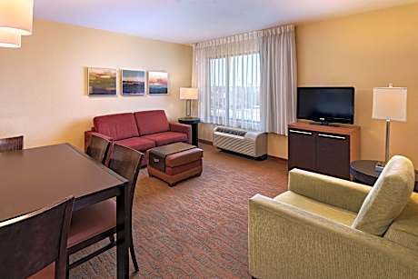 Suite, 1 Bedroom (1 King Bed and 1 Double Sofa Bed)