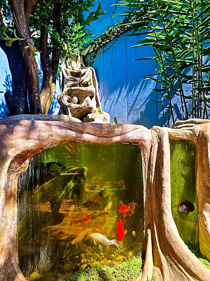 Casa Jardin del Mango