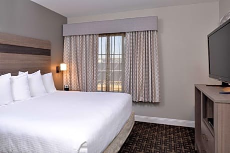 Suite-1 King Bed - Non-Smoking, Sofabed, Microwave And Refrigerator, Wi-Fi, Continental Breakfast