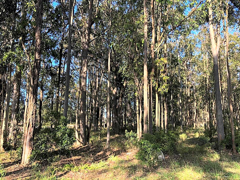Australian Motor Home Tourist Park Twelve Mile Creek