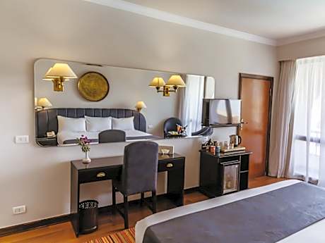 Deluxe Double or Twin Room with City View