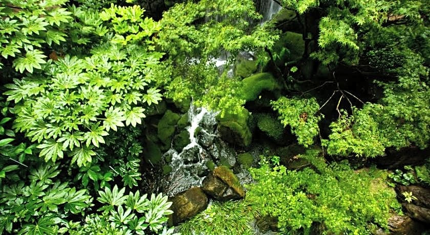 Ryokan Nishi-no-Miyabi Tokiwa