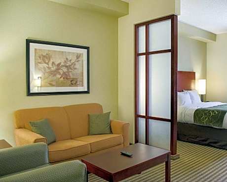 1 King Bed Suite Nonsmoking Accessible