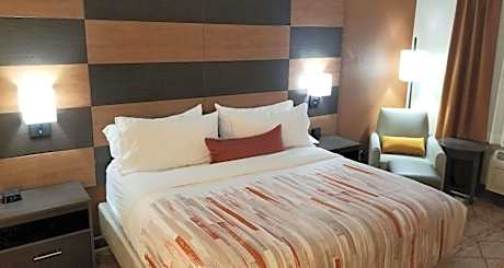 King Room with Roll-In Shower - Disability Access