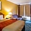 Econo Lodge Petersburg