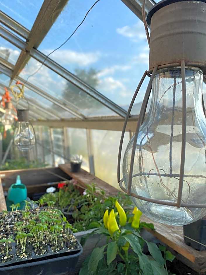 The Talbot at Knightwick