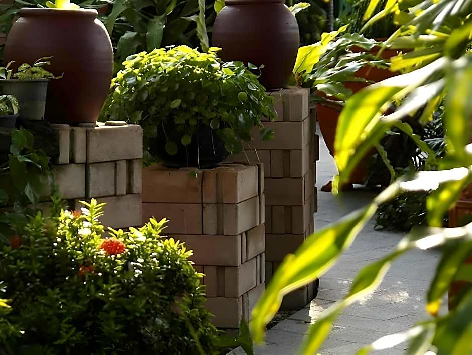 Safari Beach Hotel - SHA Extra Plus