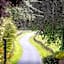 The Falcondale Country House Hotel