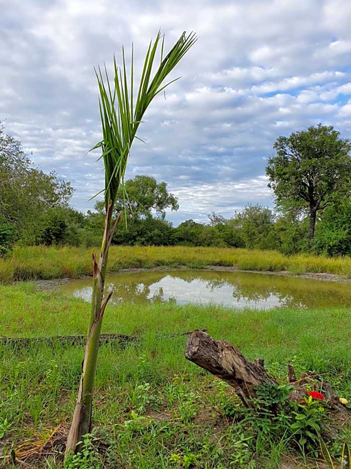 Africa Safari Selous Nyerere national park