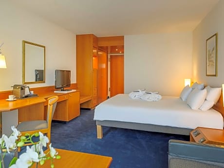 Superior Room with double bed