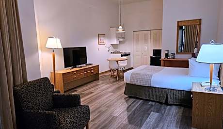 Pet Friendly Room with One Queen Bed & Kitchenette