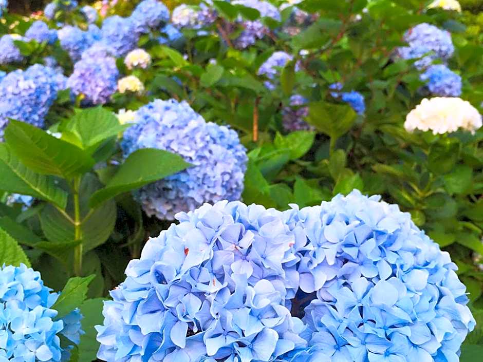 森林公園スイス村 風のがっこう京都