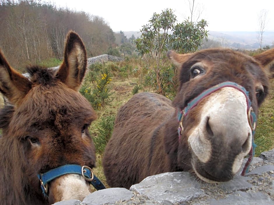 Tullaleagan Guesthouse